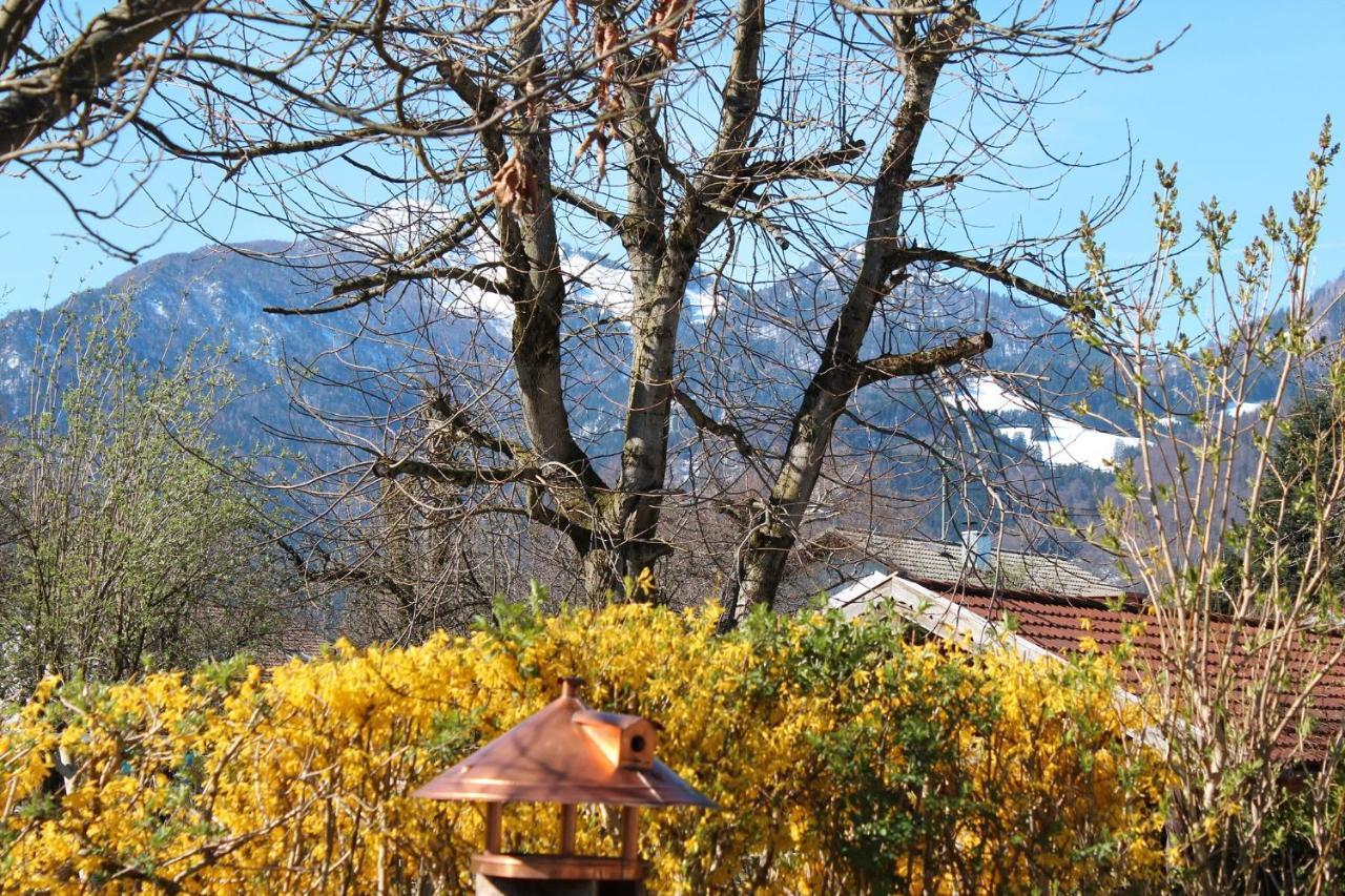 Fetznhof-Zuhaus Villa Grassau  Exterior photo